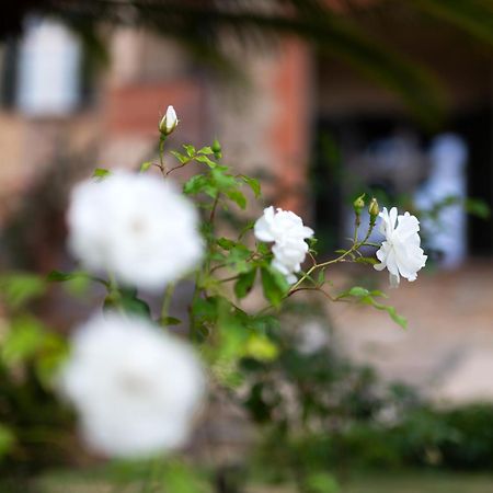 Villa Rappis อิมเปรีอา ภายนอก รูปภาพ
